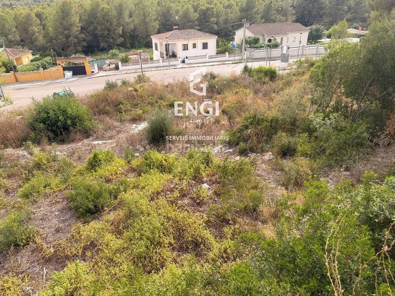 Foto 9ff3e63e-6a68-4639-aa79-bf4d81939fdd. Finca rústica a Nou Vendrell Vendrell (El)