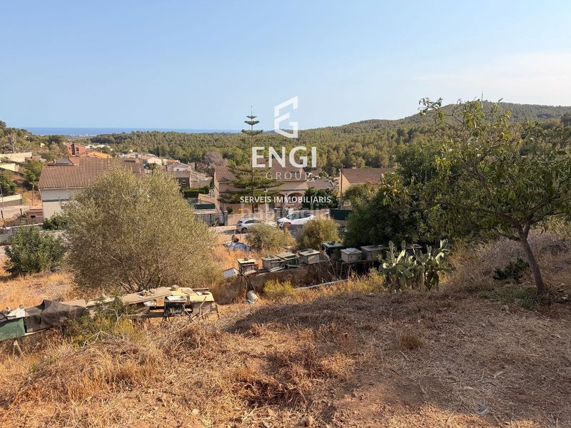 Foto 0cb32296-2f15-402e-9fc1-ccdaf7718fa5. Finca rústica a Nou Vendrell Vendrell (El)