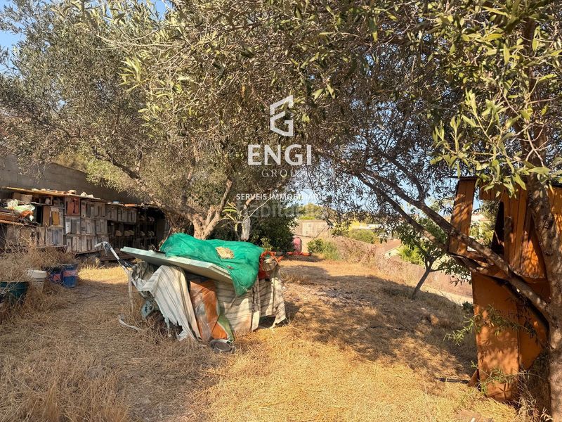 Foto 2d6b876d-b6fc-4f2c-a25c-27d5fc6d5235. Finca rústica a Nou Vendrell Vendrell (El)