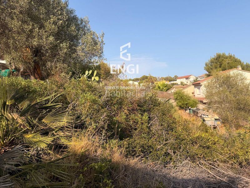 Foto 36c04764-aeeb-4b4d-94dd-6af89c6c5ed6. Finca rústica a Nou Vendrell Vendrell (El)