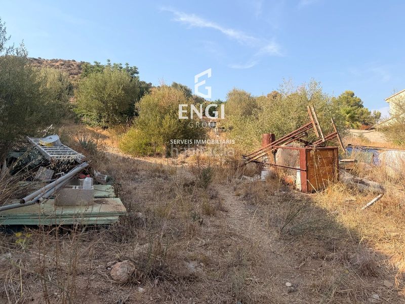 Foto 922aff4b-f7ef-4f24-aed6-71fd7897e726. Finca rústica a Nou Vendrell Vendrell (El)