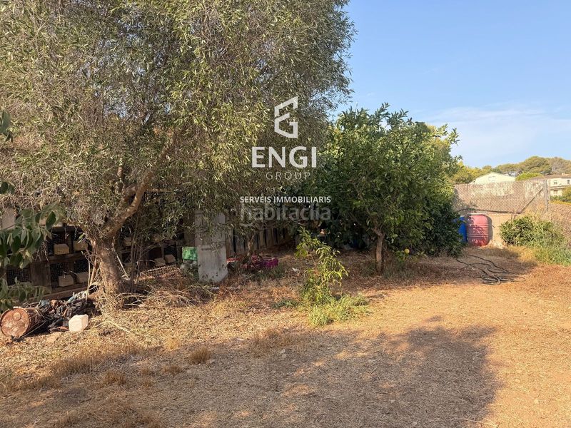Foto dbd55ea2-e5c0-4cff-9068-2c013f249492. Finca rústica a Nou Vendrell Vendrell (El)