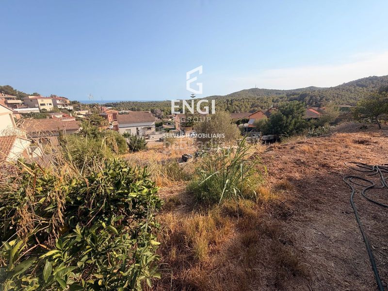 Foto dc267bff-a5ff-464c-b58d-3e2c78aac258. Finca rústica a Nou Vendrell Vendrell (El)