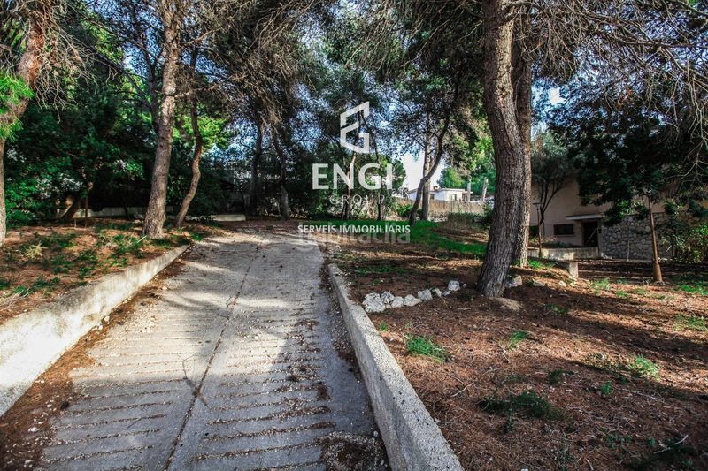 Foto d814582e-091e-494f-9ea4-5ffe217a2385. Finca rústica a Segur de Calafell nucli urbà Segur de Calafell