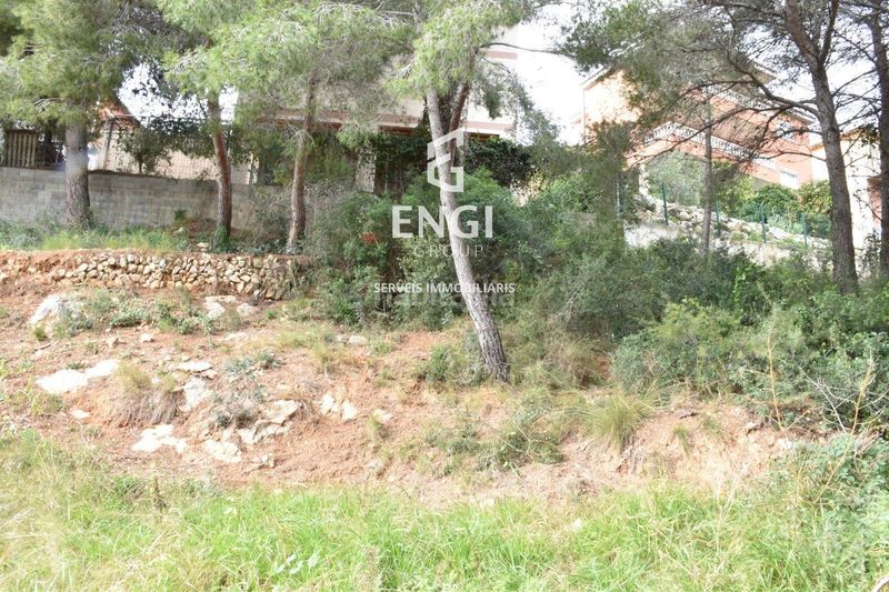 Foto f6eb8483-5983-42e0-a3db-b5b25e8bbec7. Finca rústica a costa Cunit - els jardins - els rosers Cunit