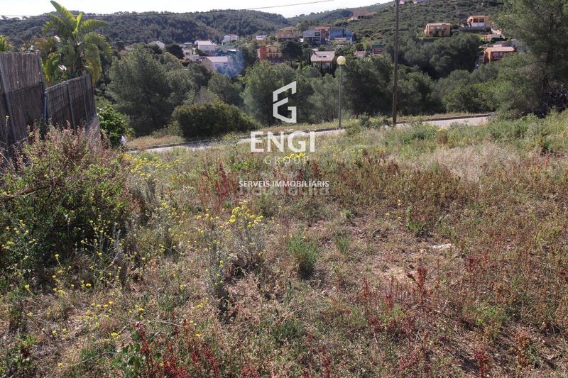 Foto 59f68128-cb6a-4dcd-889d-9323ae3bdd82. Finca rústica a Bisbal del Penedès (La)