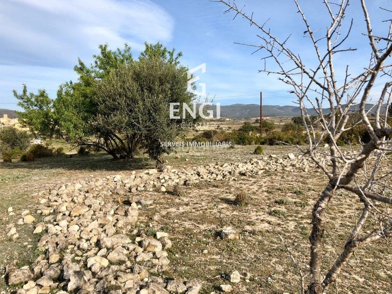 Foto 33f889b4-14a0-420e-863c-debec7cc2b9c. Finca rústica a Sant Jaume dels Domenys