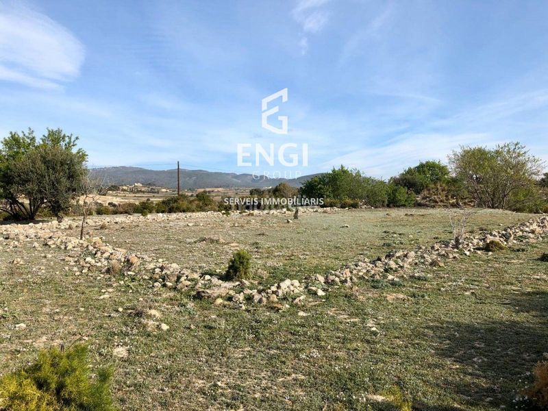 Foto 7dd26721-8313-4591-a877-e77604f6beb0. Finca rústica a Sant Jaume dels Domenys