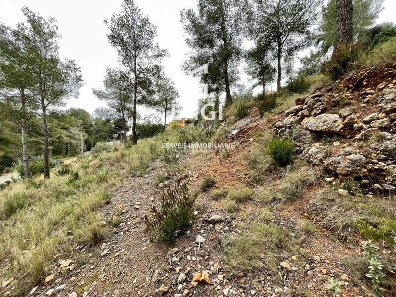 Foto 3e5b2082-aa41-468b-963a-98f41cd75000. Finca rústica a Bisbal del Penedès (La)