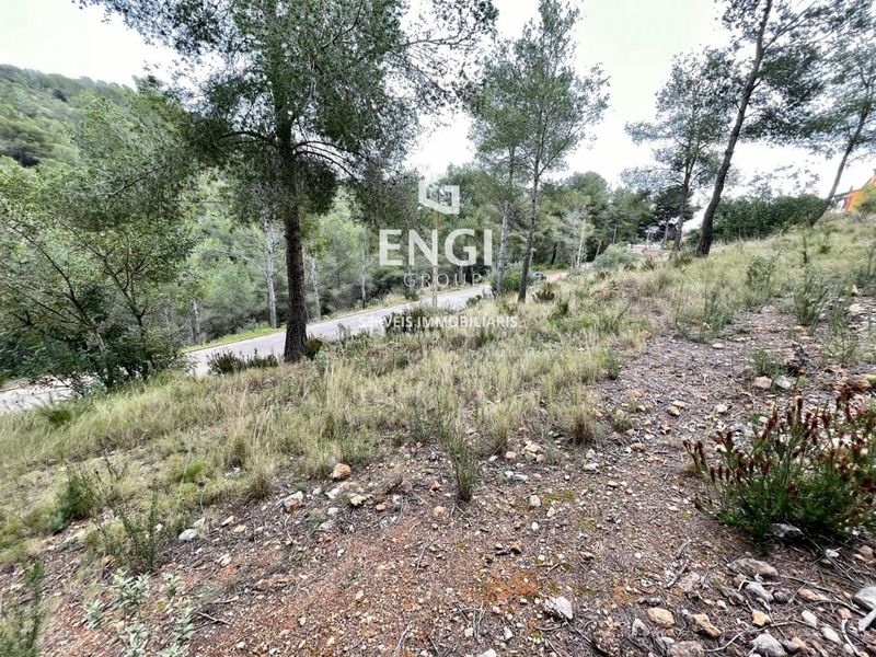 Foto 7d0f3bc3-34dc-4b81-bfda-13217d494f7f. Finca rústica a Bisbal del Penedès (La)