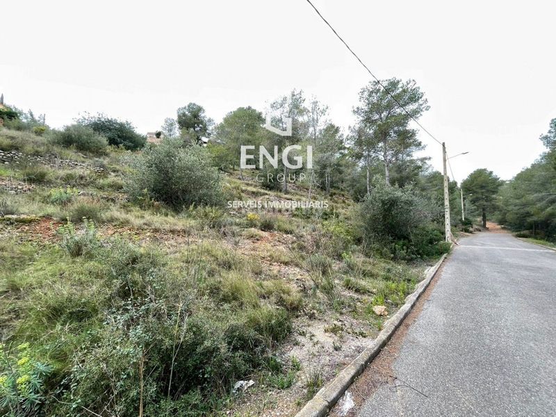 Foto d26313c6-0b58-47f7-9505-9d3f6caefc30. Finca rústica a Bisbal del Penedès (La)