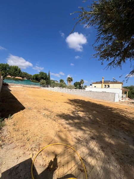 Foto 3d0d2ae8-178d-448e-b87d-45bfe3c3ba8e. Terreny residencial a Almensilla