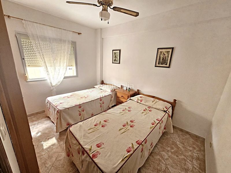 Foto f3ba92c8-f877-4979-ac38-7fbdee998a49. Pis a alegría de la huerta- jardín de Málaga Málaga