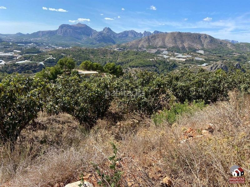 Foto 4a77e0bf-31d3-4c2f-a4b8-1f7d123d9502. Finca rústica a Bolulla