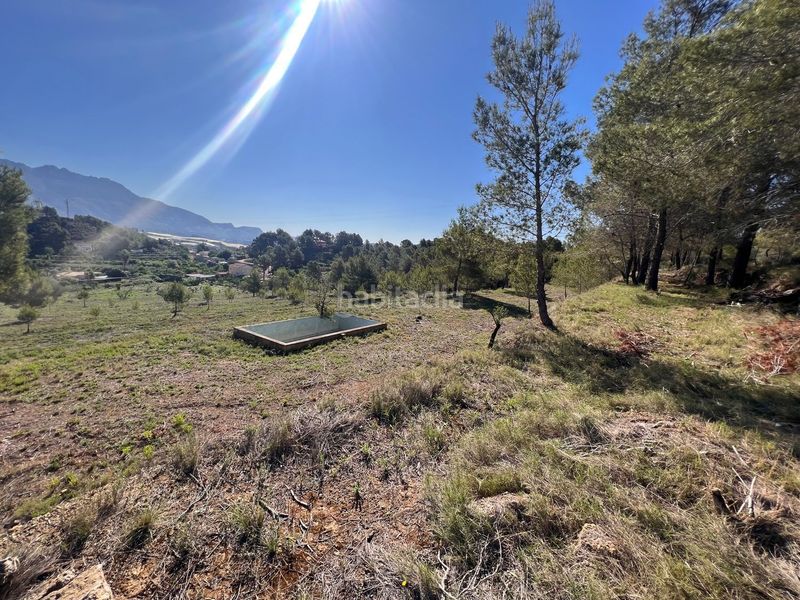 Foto be46cd2d-f18f-440c-bb0b-a3bf01f0124e. Finca rústica en El Tossal-Bello Horizonte Nucia (la)