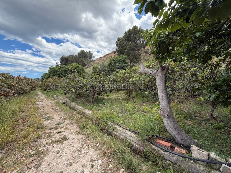 Foto 5a86ae73-4f8d-4520-ac87-c04269cc76dd. Masia a La Nucia Pueblo Nucia (la)