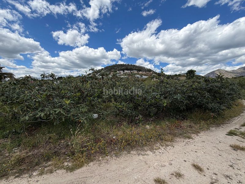 Foto 5d98104b-b01c-4848-a023-6a503090527f. Masia a La Nucia Pueblo Nucia (la)