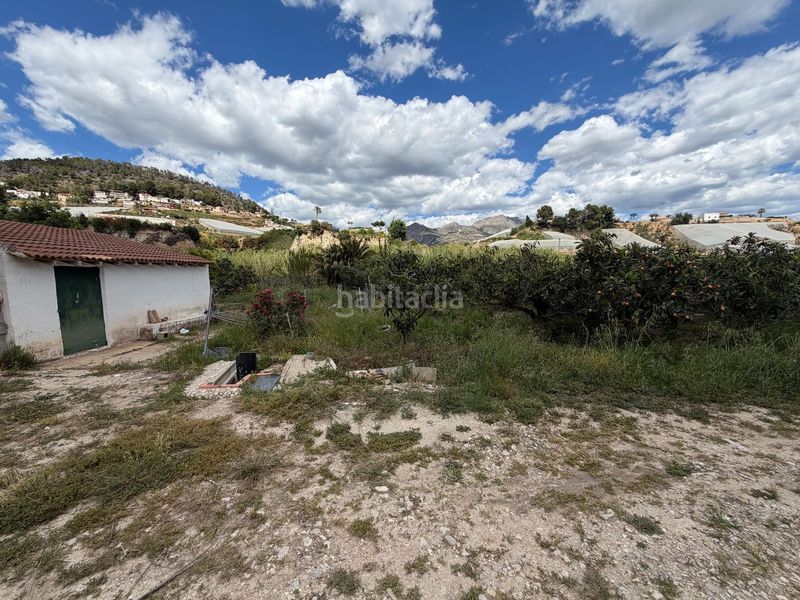 Foto f4eec6fc-6d13-4f1e-866b-e69abbcc2dcc. Masia a La Nucia Pueblo Nucia (la)