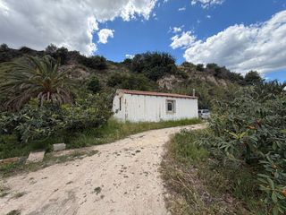 Masia a DISEMINADOS