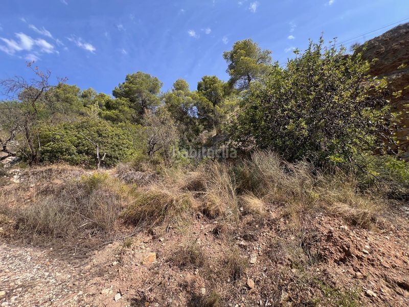 Foto 0760d33b-e91b-4e6e-aec8-f6f4398fd95d. Finca rústica a Guadalest