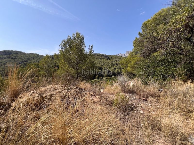 Foto 1d397ba3-78fd-46f6-90c5-04b59b348db5. Finca rústica a Guadalest