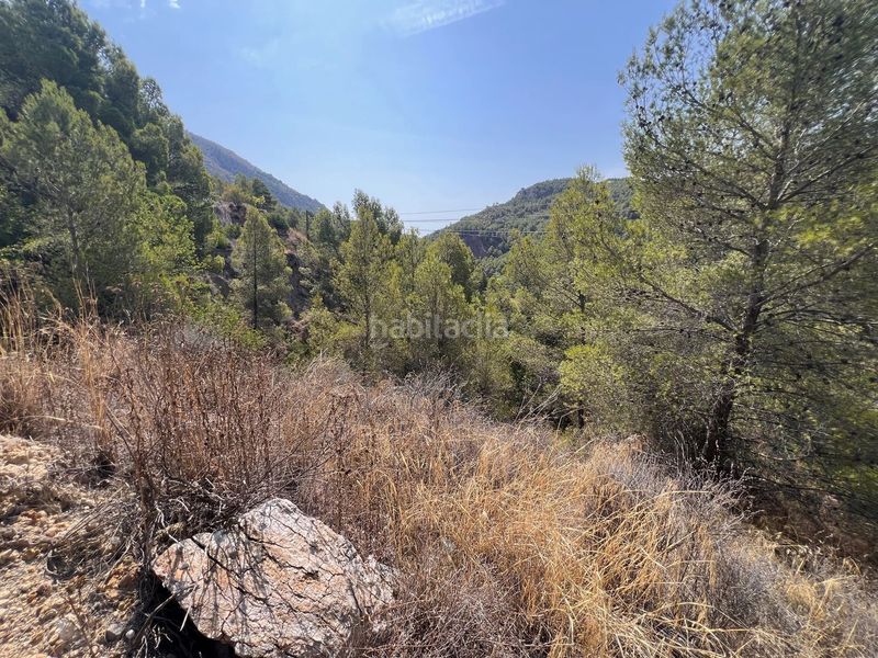 Foto 50a28b09-b4ab-4f9e-b20e-a817f73ebcf1. Finca rústica a Guadalest