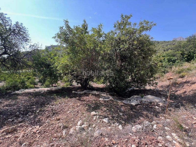 Foto 51fa00a1-e4af-4fcf-a6f6-9f420f95fdd3. Finca rústica a Guadalest