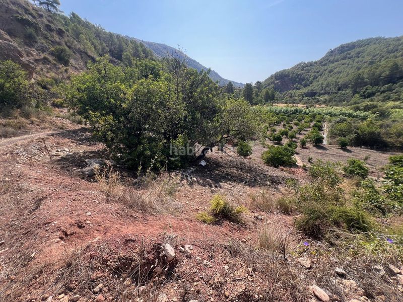 Foto 910cb988-b05e-4a7e-abb7-7e3151b505ea. Finca rústica a Guadalest