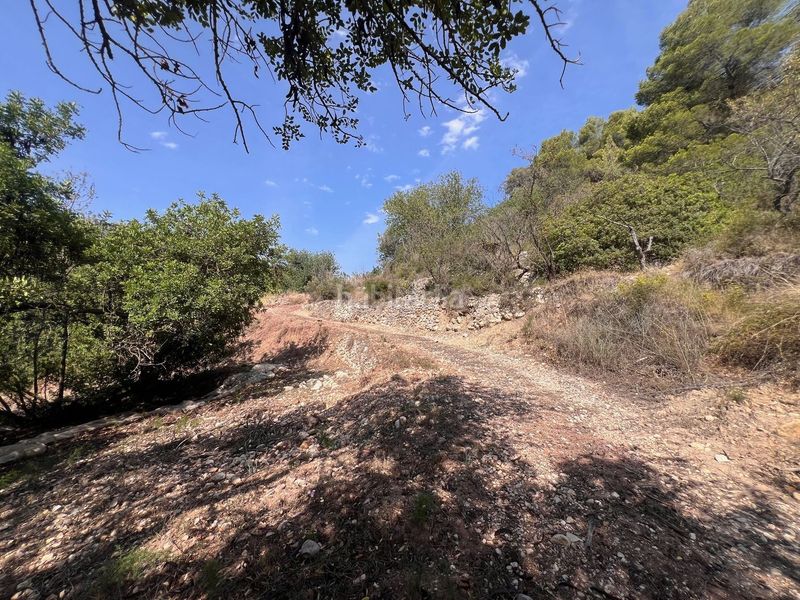 Foto ab9a185c-1792-4c4c-8ed6-73eada191495. Finca rústica a Guadalest