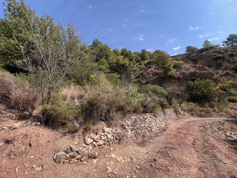 Foto b4b045d6-3334-4e03-8356-7f59ebfb702e. Finca rústica a Guadalest