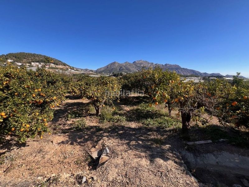 Foto bce056ee-346d-4676-bc71-fd3ff2419c84. Finca rústica a La Nucia Pueblo Nucia (la)
