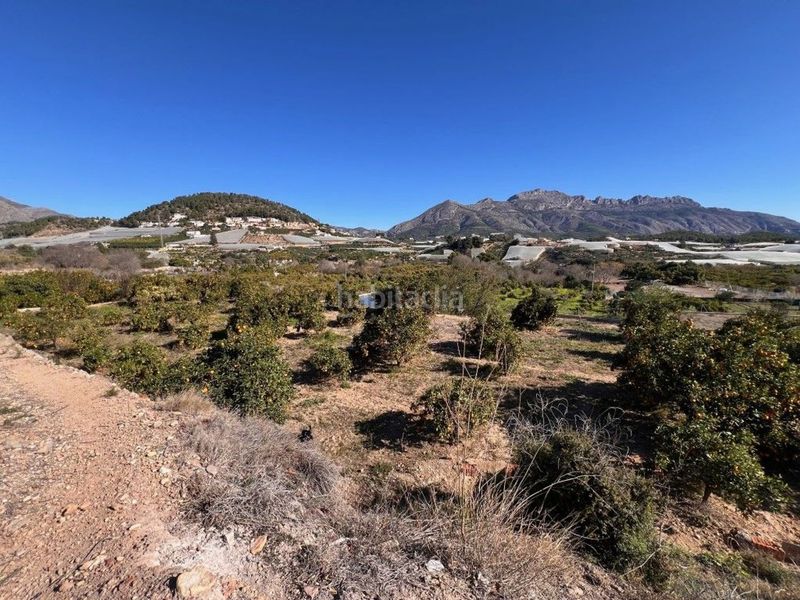Foto d36981f0-c146-45cd-acc6-298160f6da62. Finca rústica a La Nucia Pueblo Nucia (la)