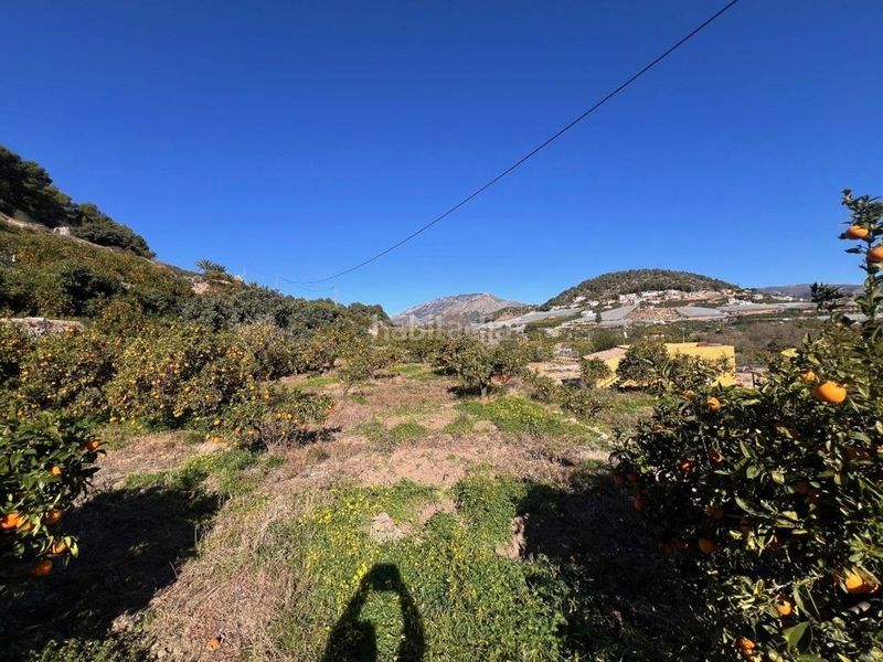 Foto f61057a0-dc96-45fc-8dc8-4922c342c358. Finca rústica a La Nucia Pueblo Nucia (la)
