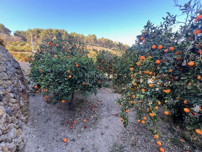 Foto 30735ac4-d3da-4866-832f-7d6871e3ae3d. Finca rústica en La Nucia Pueblo Nucia (la)