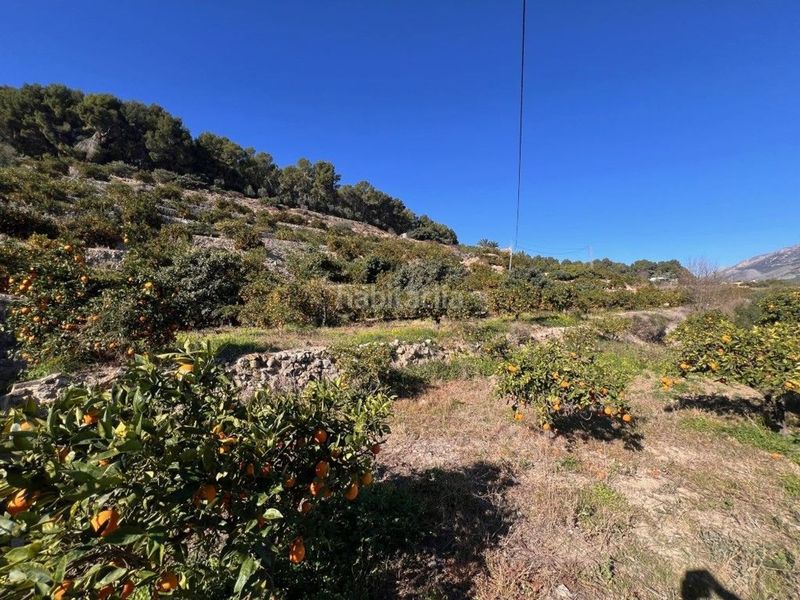Foto f1c84b65-dcde-4f49-94bb-1bebdb8b33de. Finca rústica en La Nucia Pueblo Nucia (la)