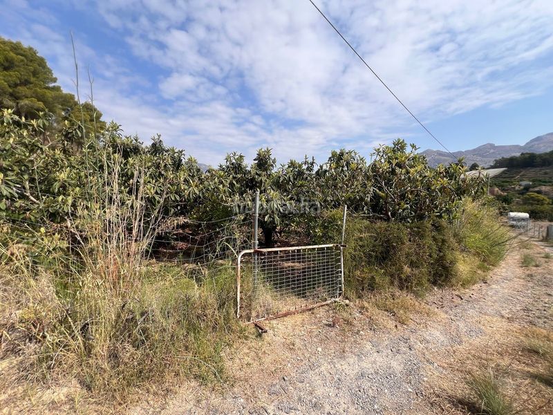 Foto 1f6ceec2-242e-43f6-aed9-c508725aa157. Finca rústica a La Nucia Pueblo Nucia (la)