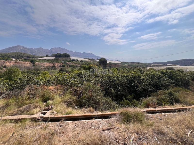 Foto 3a67cb6d-1369-41bc-9498-0a30ee893a7d. Finca rústica a La Nucia Pueblo Nucia (la)