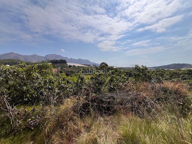 Foto 3de83d68-8248-4f46-b9c2-f04478b44e88. Finca rústica a La Nucia Pueblo Nucia (la)