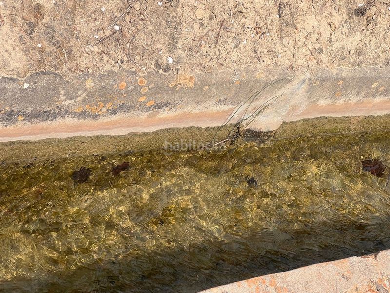 Foto e4680f71-d1b6-420e-b4fe-100e4955b7fd. Finca rústica a La Nucia Pueblo Nucia (la)