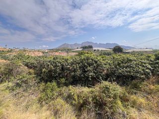 Finca rústica  Pesauro