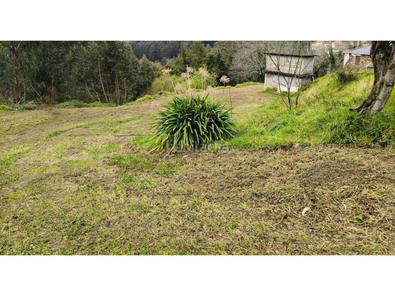 Foto f3b9d7e0-cc00-4830-9929-2dfbad179868. Casa a Cariño