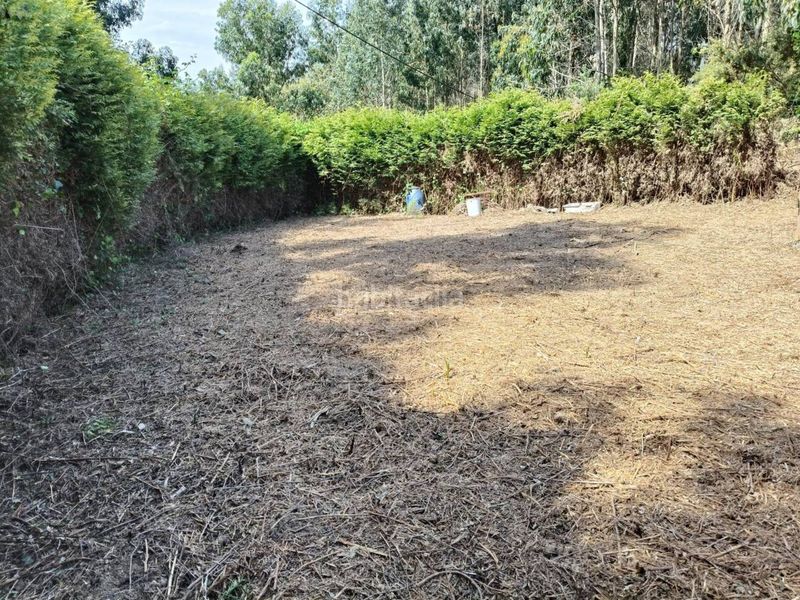 Foto a55d4de4-791e-41a3-8ac6-e05f0cd6c304. Finca rústica a Cariño