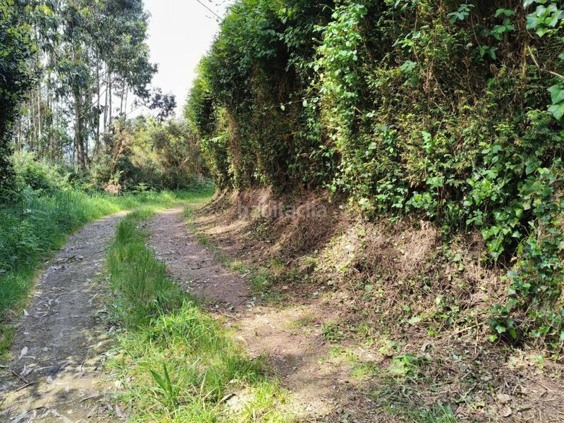 Foto b89d8fbd-26b1-46f2-8628-0229f82c7899. Finca rústica a Cariño