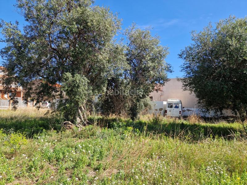 Foto af2af48f-f3ad-4388-904a-23905508b461. Terreno residencial terreno esquinero en urbanización en Mont-roig del Camp