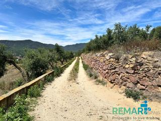 Finca rústica a Alforja. Terreno rustico en venta alforja