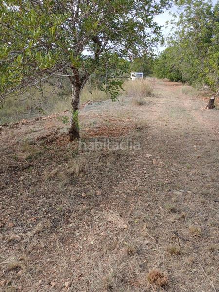 Foto 1f7eac14-fc57-42b2-9c88-22488a6c6b08. Landgut in Poble Mont-roig del Camp