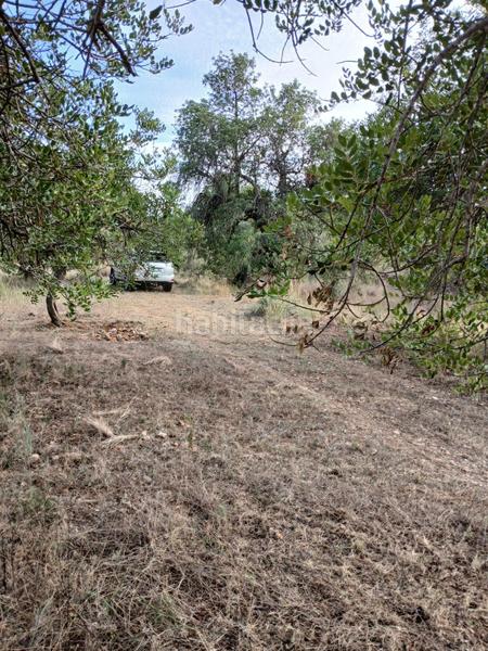 Foto 2035f609-fb09-46dd-bf8a-9b07abbb2eeb. Landgut in Poble Mont-roig del Camp