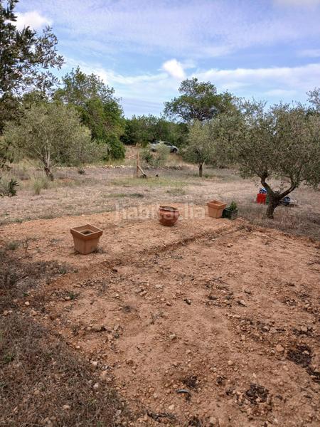 Foto 240c300e-08c7-4beb-81a7-7100b82dc330. Landgut in Poble Mont-roig del Camp