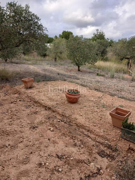 Foto cf2cdb9b-a749-40cd-a457-2f38341a9ef0. Landgut in Poble Mont-roig del Camp