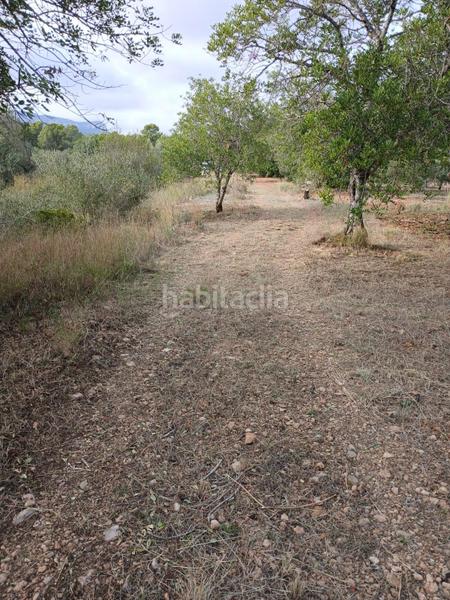 Foto dfc42cff-2512-4c9a-8e6a-679d8f335467. Landgut in Poble Mont-roig del Camp